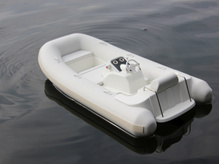 Das kleinste Modell des Treffens_Franks WILLIAMS Rib
