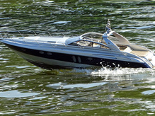 Detlefs Princess V55