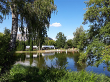 Der grosse Dutzendteich