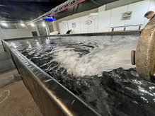 Wasser marsch, FH 2023