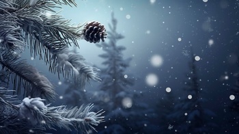 Weihnachten 2024